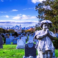 SHUT UP - Single - Dank Delish