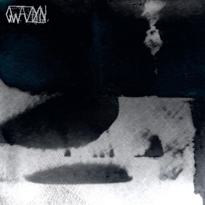 Eat Insects - Single