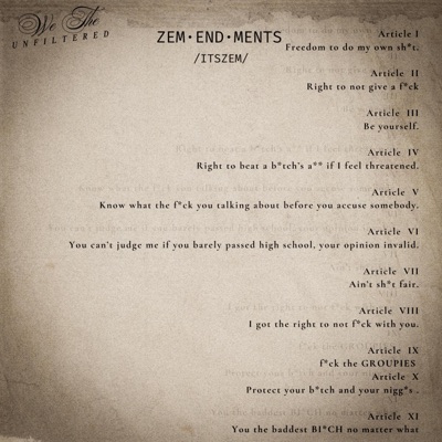 Zem This, Zem That: ZEMENDMENTS