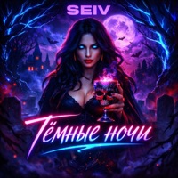 Тёмные ночи - Single - SEIV