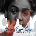 Hear Your Cry