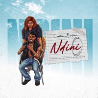 Ndini (feat. Captain Britain) - Single - Tman Mount Zion