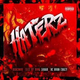 Haterz (feat. Sicc of Bong Squad & BC Born Crazy) Demzwon