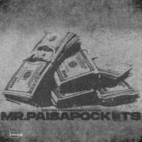 Mr.PaisaPockets (feat. Lnetyler & BadNewsDaMac) - Single - Gogettayb