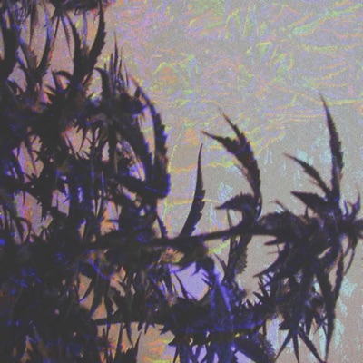 Recipe (Chef’s Kiss) - Single