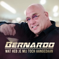 Wat Heb Je Mij Toch Aangedaan