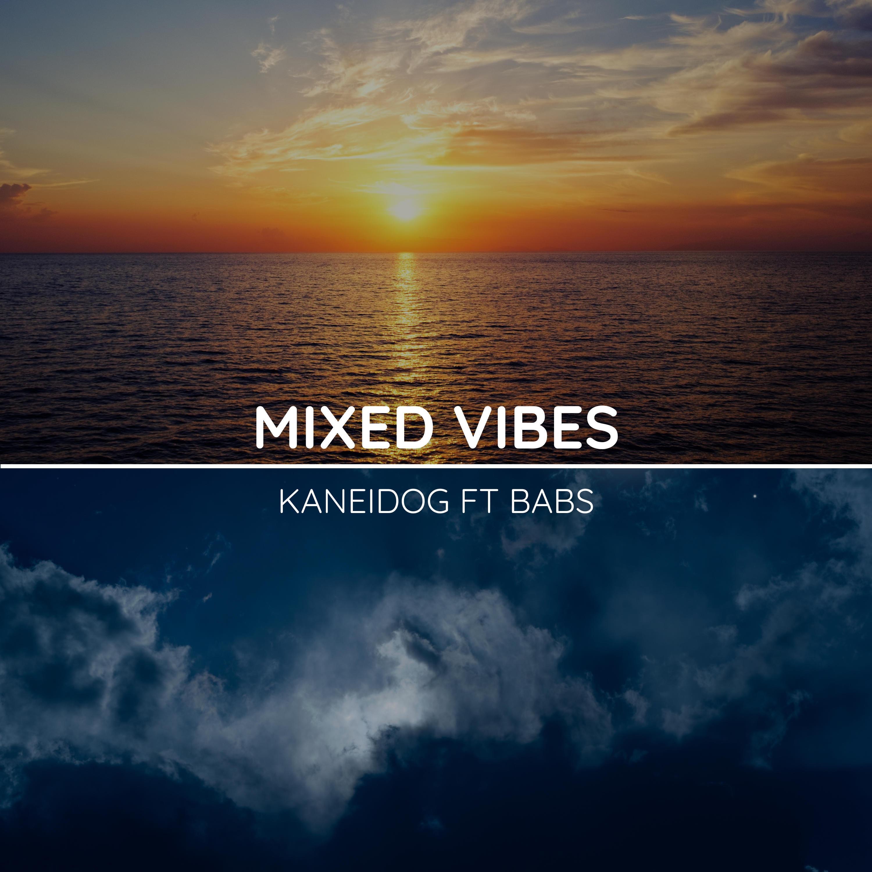 Mixed Vibes - EP