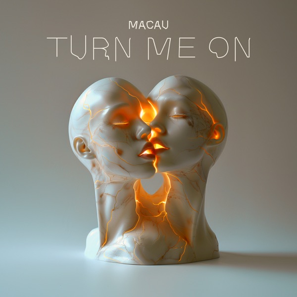 Turn Me On - Single