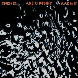 are u down? (feat. KØNG) Rae Shen