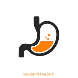 My Little Pony (feat. @тундра) АРИКХАХАЕВ