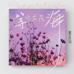 等你在花海 - Single