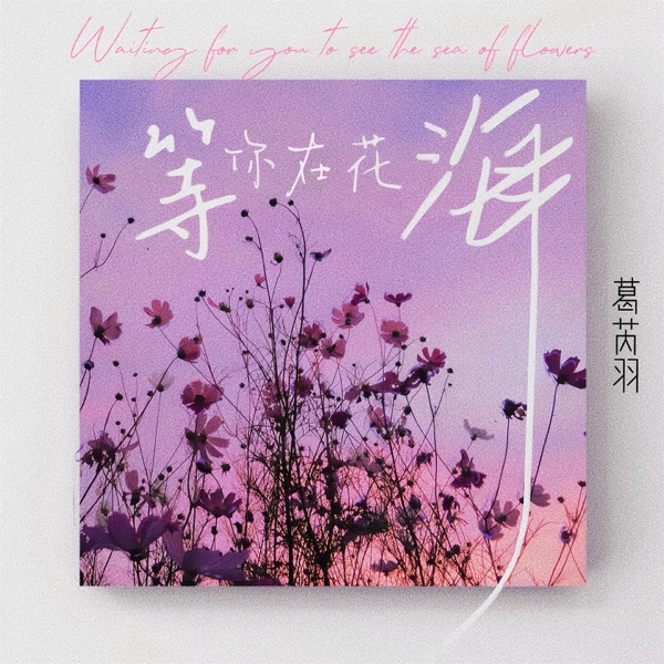 等你在花海 - Single
