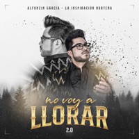 No Voy A Llorar (2.0) - Single - Alfonzin García 