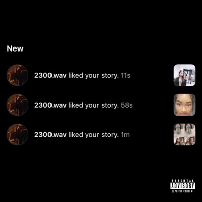 I Just Liked Her Story - Single