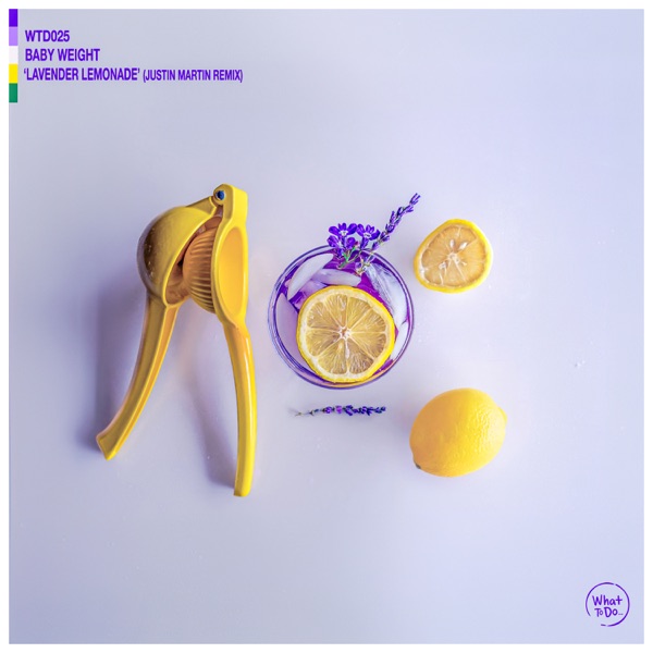 Lavender Lemonade (Justin Martin Remix) [feat. Claire George] - Single