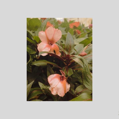 PRIMAVERA: Segundo Ato - EP