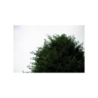 retrieve - Single - Daisuke Miyatani