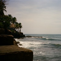 PALMA5 - Single - Stylolive