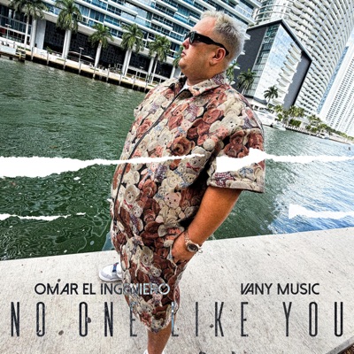 No one like you (feat. Vany Music) - Single