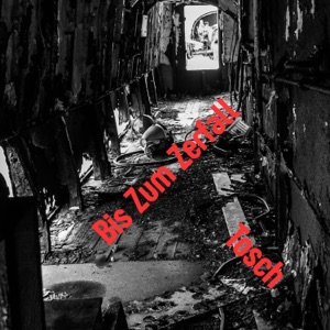 Bis Zum Zerfall - EP