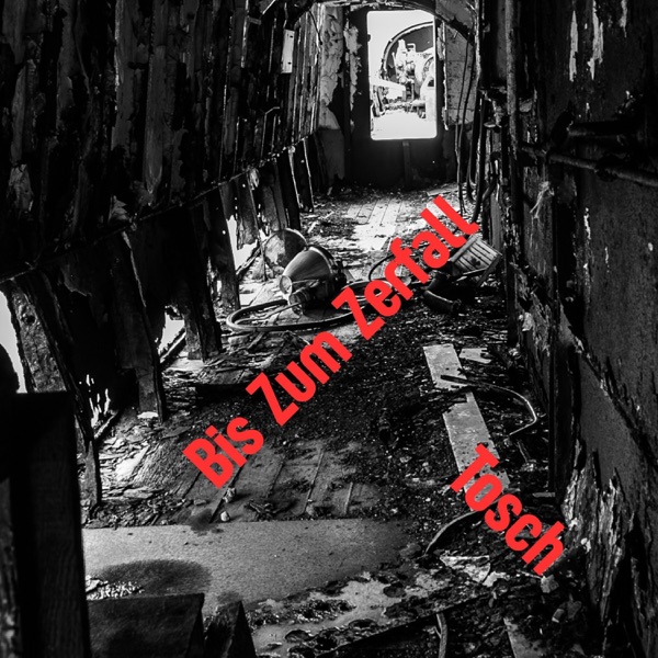 Bis Zum Zerfall - EP
