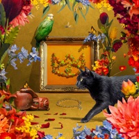 Two Shoes (Live at Sydney Opera House) - Single - The Cat Empire & Sydney Symphony Orchestra