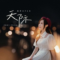 天际 (粤语DJ阿本版) - Single - 亮声Open
