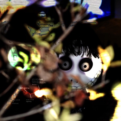 Patrol Rifle Optic - Single