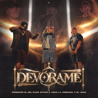 DEVÓRAME - Single - Piromano El Del Flow Gitano, Adan La Amenaza & El Joan
