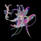 Drone Extended Mix Single