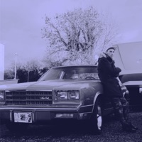 Almost Human (Luck of the Irish) - Single - David Lyttle