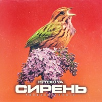 Сирень (7dreamer Remix) - Single - Istokiya