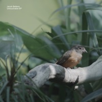 Untouchable (Remixes) - Jacob Bellens