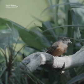 Untouchable (Mysticage Remix) Jacob Bellens