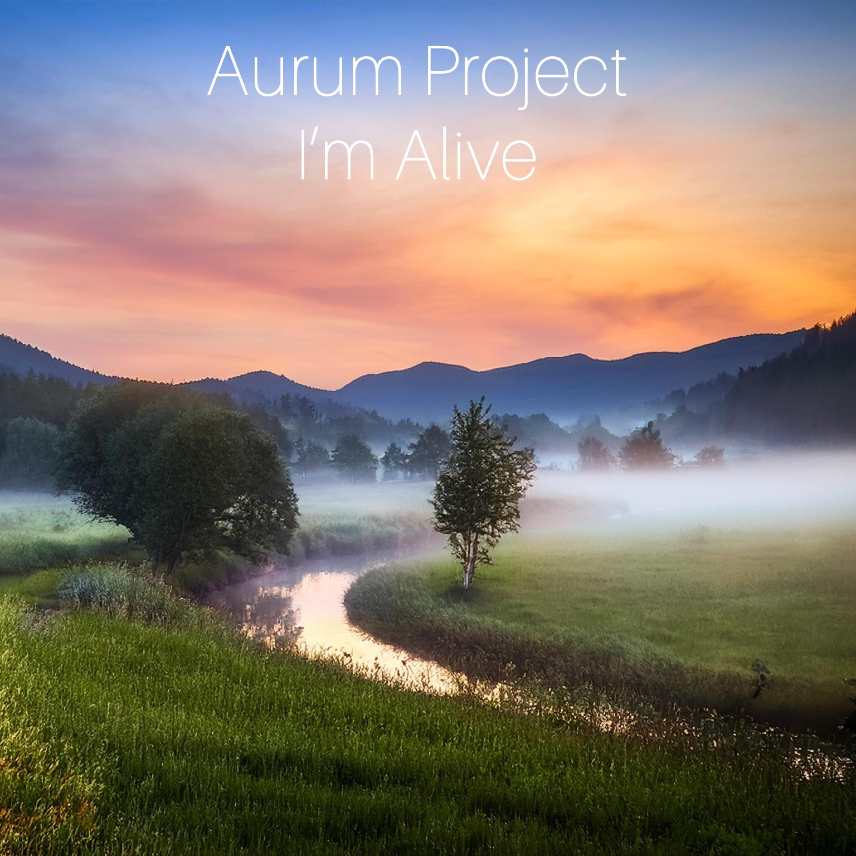 I'm Alive - Single