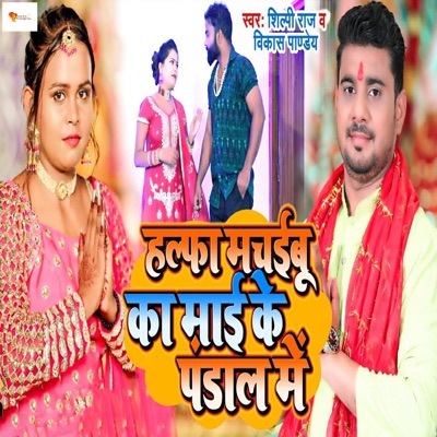 Halfa Machaibu Ka Mai Ke Pandal Me - Single