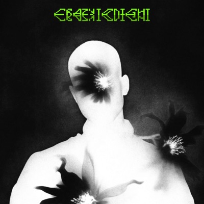 Crazy Tonight - Single