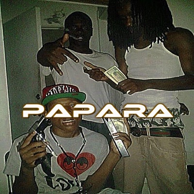 Papara ' flow moni x brayantr - Single