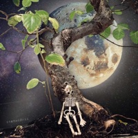 Nikogda - Single - степнойгул