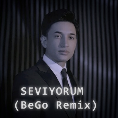 Seviyorum (Remix) - Single
