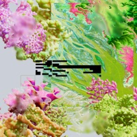 Lema - Single - Oclum & Voral