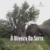 Cover art for Oliveira da Serra (Fado Moderno) by Alma Latina Mix