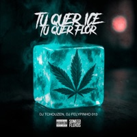 Tu Quer Ice ou Tu Quer Flor - Single - DJ FELYPINHO 013 & Dj Tchouzen