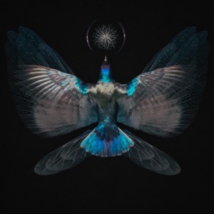 Decoding Dreams - Single