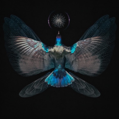 Decoding Dreams - Single