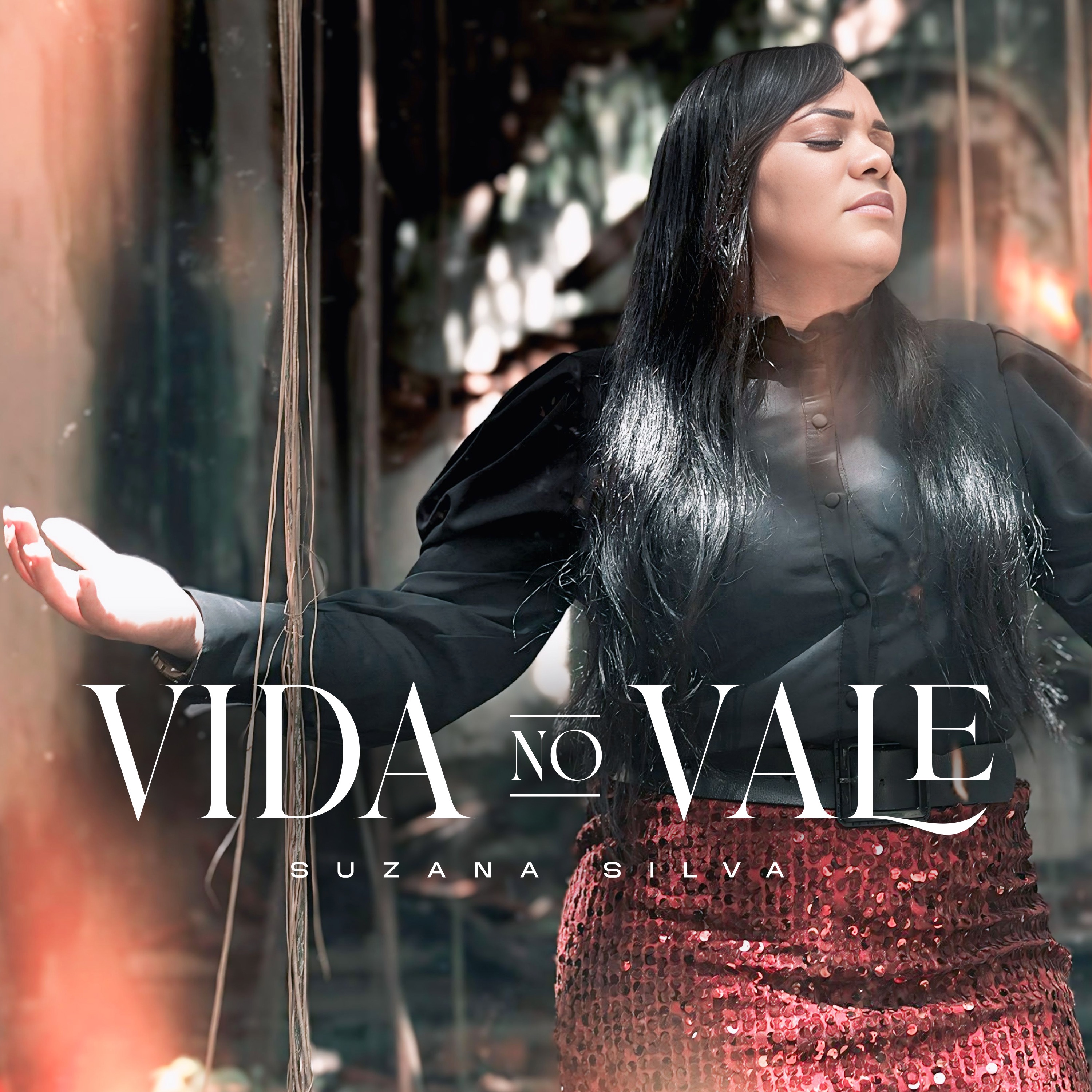 Vida no Vale - Single
