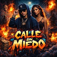 Calle sin miedo - Single - FLOW LETAL
