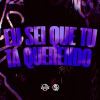 Eu Sei Que Tu Ta Querendo - Single - Meno Saaint & DJ GUI PABLO
