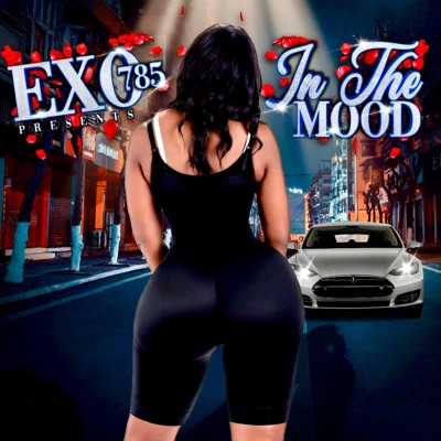 In the Mood - Single