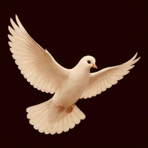 Umut